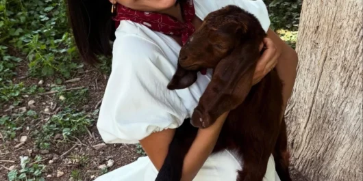 پروژه جدید آیبوکه پوسات En Mutlu Günümde سایت ترکنما