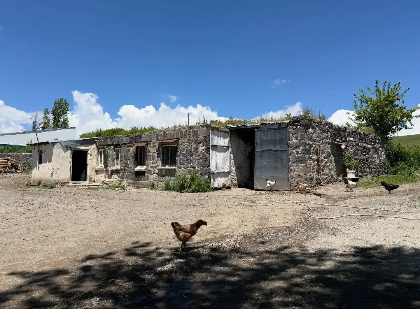 بازگشت اوزان آکبابا Eşkıya Dünyaya Hükümdar Olmaz, Uzak Şehir سایت ترکنما