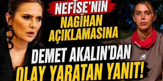 حواشی سوروایور سوروایور (Survivor) سایت ترکنما