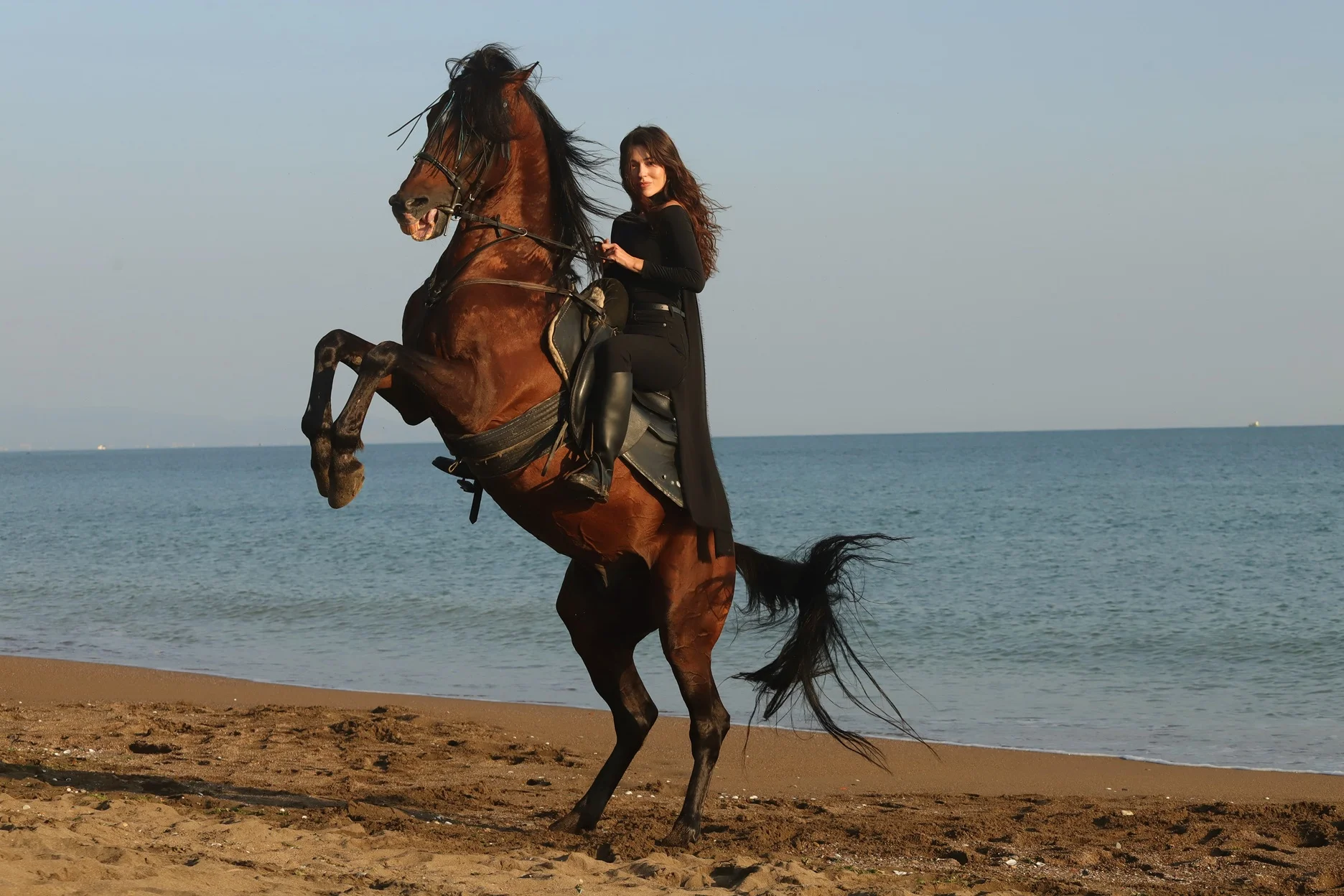 عکس سریال سایت ترکنما
